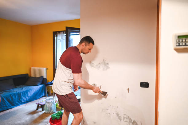 Best Mold Damage Repair  in North Ogden, UT